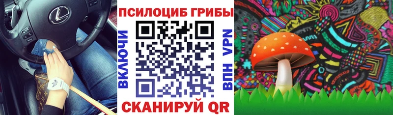 где можно купить наркотик  Темников  Галлюциногенные грибы Magic Shrooms 